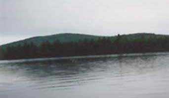 main 1.jpg (4220 bytes)
